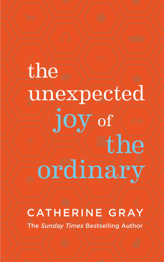 Cover image: The Unexpected Joy of the Ordinary 9781783253371