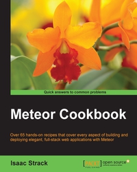 صورة الغلاف: Meteor Cookbook 1st edition 9781783280292