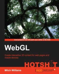 Immagine di copertina: WebGL Hotshot 1st edition 9781783280919