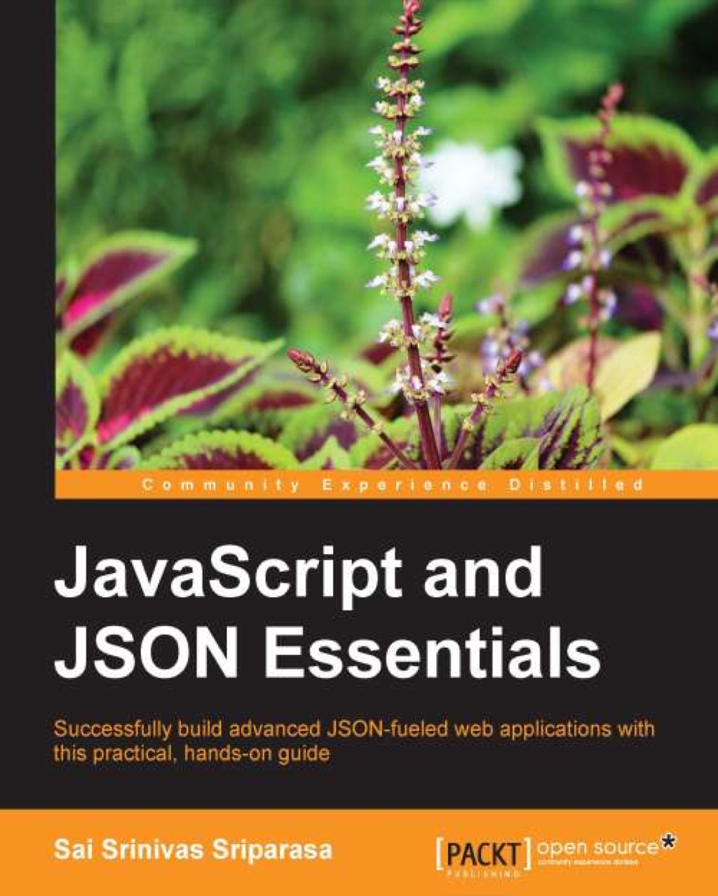 JavaScript and JSON Essentials - 1st Edition (eBook)