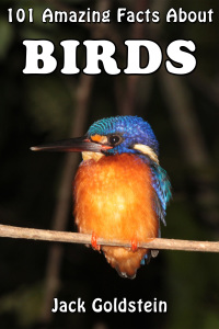 صورة الغلاف: 101 Amazing Facts About Birds 1st edition 9781785381836