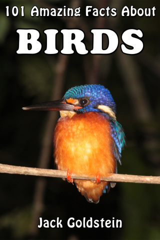 Cover image: 101 Amazing Facts About Birds 1st edition 9781783331727