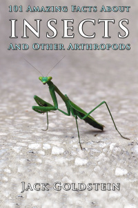 Immagine di copertina: 101 Amazing Facts About Insects 1st edition 9781783338115