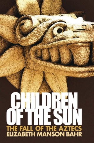 صورة الغلاف: Children of the Sun 2nd edition 9781783333493