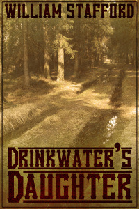 Imagen de portada: Drinkwaters Daughter 2nd edition 9780993337161