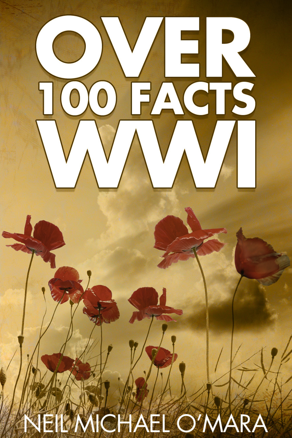 Over 100 Facts WW1 2nd Edition