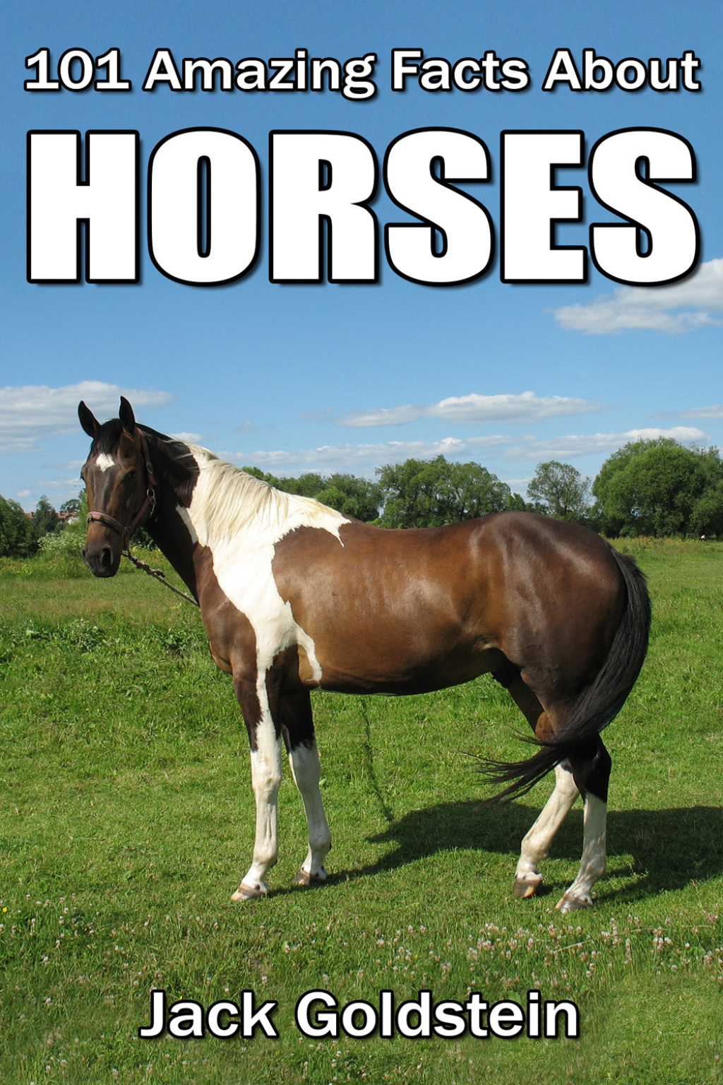 101 Amazing Facts about Horses - 1st Edition (eBook)
