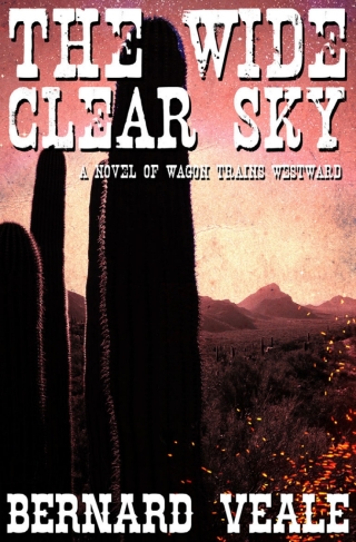 Imagen de portada: The Wide Clear Sky 1st edition 9781783337927