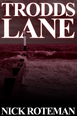 Imagen de portada: Trodds Lane 1st edition 9781783339334
