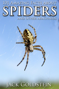 Omslagafbeelding: 101 Amazing Facts about Spiders 1st edition 9781783339112