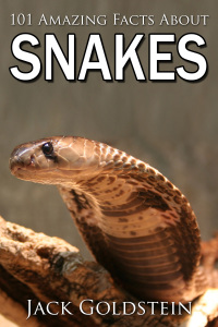 صورة الغلاف: 101 Amazing Facts about Snakes 1st edition 9781783336067