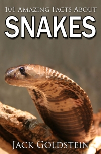 Imagen de portada: 101 Amazing Facts about Snakes 1st edition 9781783336074
