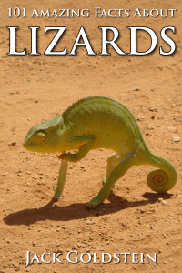Cover image: 101 Amazing Facts about Lizards 1st edition 9781783332236