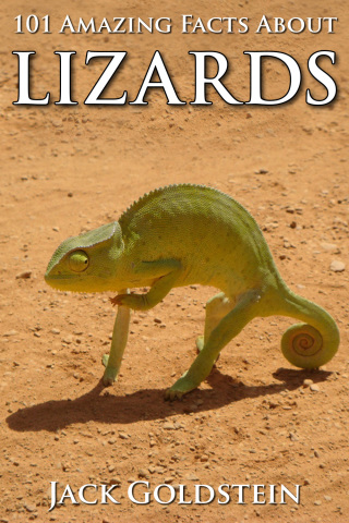 Cover image: 101 Amazing Facts about Lizards 1st edition 9781783339686