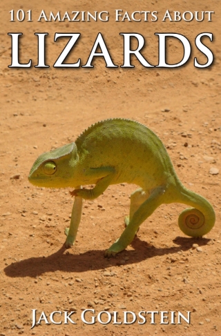 Imagen de portada: 101 Amazing Facts about Lizards 1st edition 9781783339693