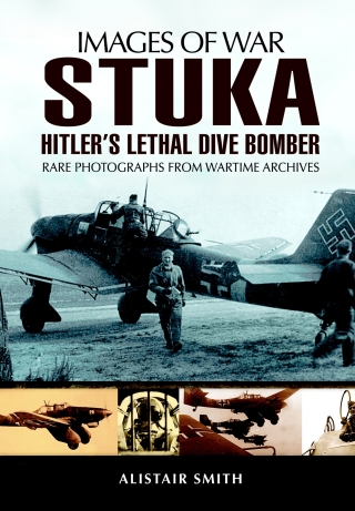 Cover image: Stuka 9781848848047