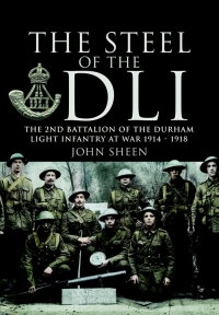 Cover image: Steel of the DLI 9781848841437