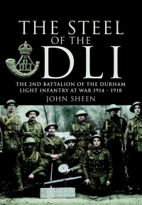 صورة الغلاف: Steel of the DLI 9781848841437