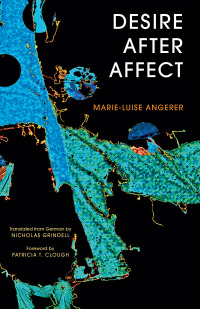Cover image: Desire After Affect 1st edition 9781783481309