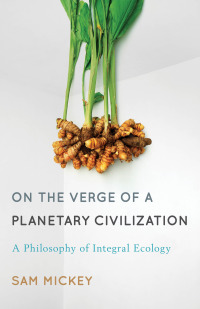 صورة الغلاف: On the Verge of a Planetary Civilization 1st edition 9781783481361