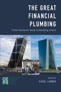 Cover image: The Great Financial Plumbing 1st edition 9781783484287
