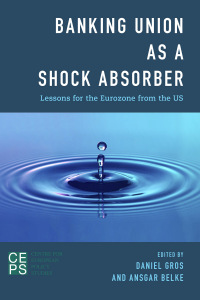 Cover image: Banking Union as a Shock Absorber 1st edition 9781783485949