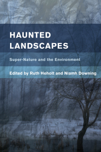 Cover image: Haunted Landscapes 1st edition 9781783488810