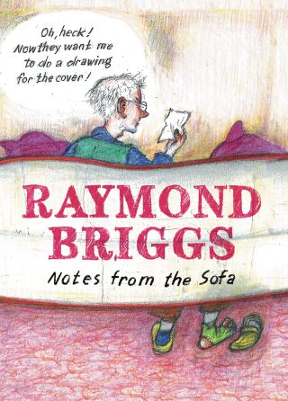 Cover image: Notes From the Sofa 9781783521302