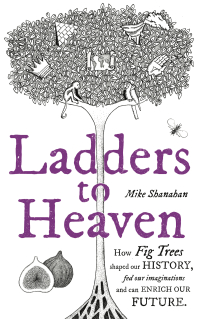 Omslagafbeelding: Ladders to Heaven 9781783525805
