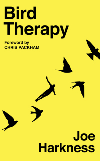 Cover image: Bird Therapy 9781783528981