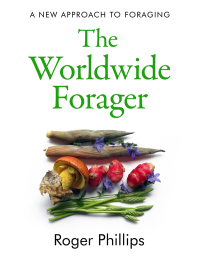 Cover image: The Worldwide Forager 9781783528820