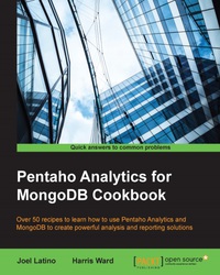 Imagen de portada: Pentaho Analytics for MongoDB Cookbook 1st edition 9781783553273