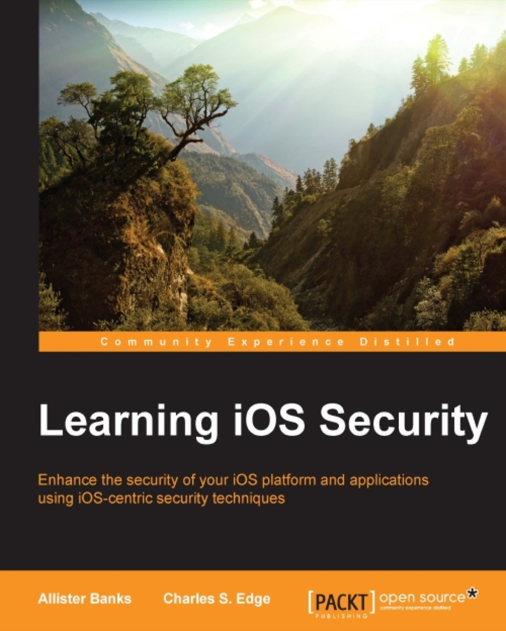 Learning iOS Security 1st Edition