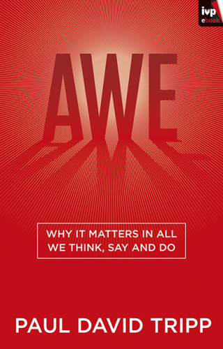 Imagen de portada: Awe 9781783593774