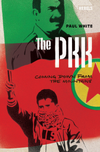 Cover image: The PKK 1st edition 9781783600373