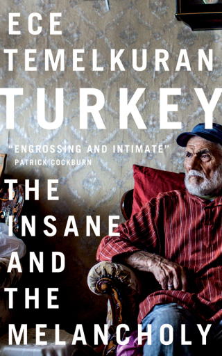 Cover image: Turkey 1st edition 9781783608898
