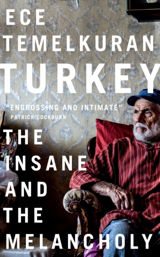 Imagen de portada: Turkey 1st edition 9781783608904