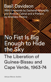 Omslagafbeelding: No Fist Is Big Enough to Hide the Sky 2nd edition 9781783605644
