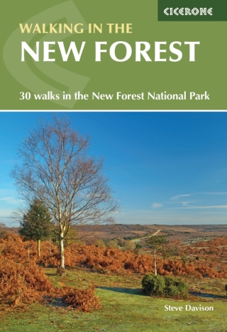 Cover image: Walking in the New Forest 2nd edition 9781852848774
