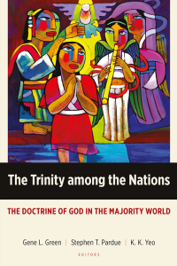 Cover image: The Trinity among the Nations 9781783681051