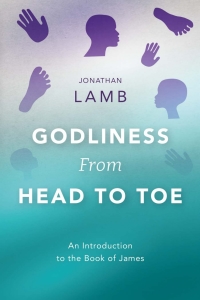 Cover image: Godliness from Head to Toe 9781783688937
