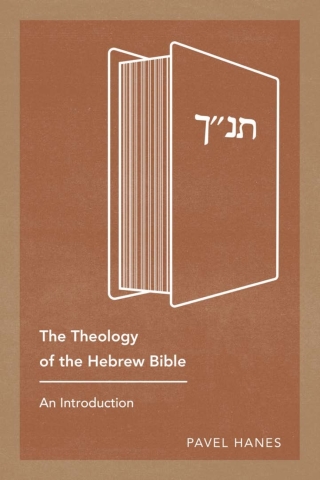 Cover image: The Theology of the Hebrew Bible 9781783687305