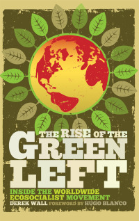 Titelbild: The Rise of the Green Left 1st edition 9780745330365