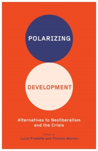 صورة الغلاف: Polarizing Development 1st edition 9780745334691