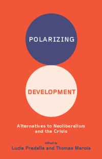表紙画像: Polarizing Development 1st edition 9780745334691