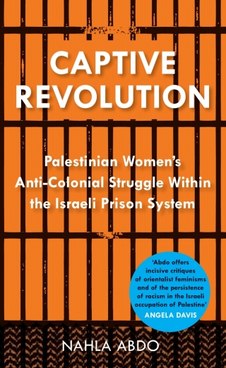 Cover image: Captive Revolution 1st edition 9780745334943