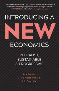 Cover image: Introducing a New Economics 1st edition 9780745334882