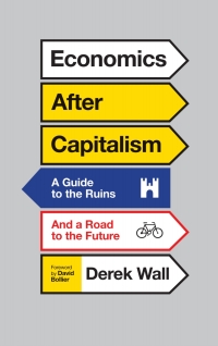 表紙画像: Economics After Capitalism 1st edition 9780745335070