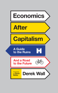 Cover image: Economics After Capitalism 1st edition 9780745335070