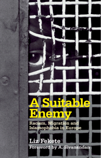 Cover image: A Suitable Enemy 1st edition 9780745327921